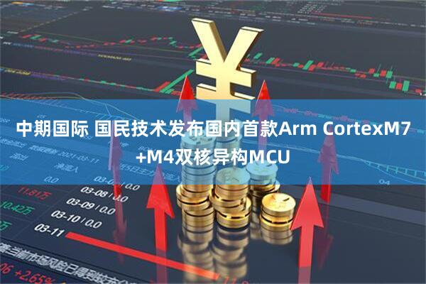 中期国际 国民技术发布国内首款Arm CortexM7+M4双核异构MCU