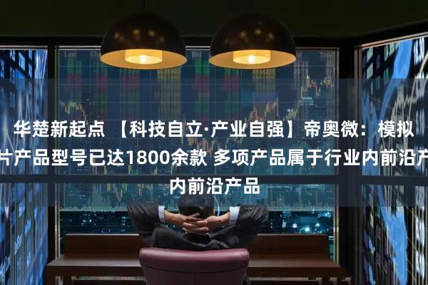 华楚新起点 【科技自立·产业自强】帝奥微：模拟芯片产品型号已达1800余款 多项产品属于行业内前沿产品