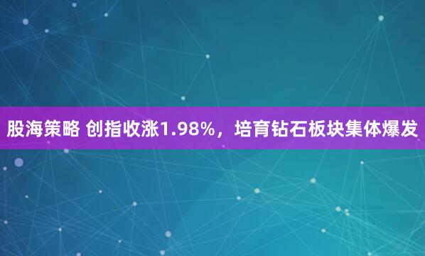 股海策略 创指收涨1.98%，培育钻石板块集体爆发