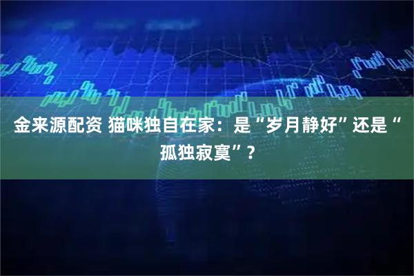 金来源配资 猫咪独自在家:是“岁月静好”还是“孤独寂寞”?