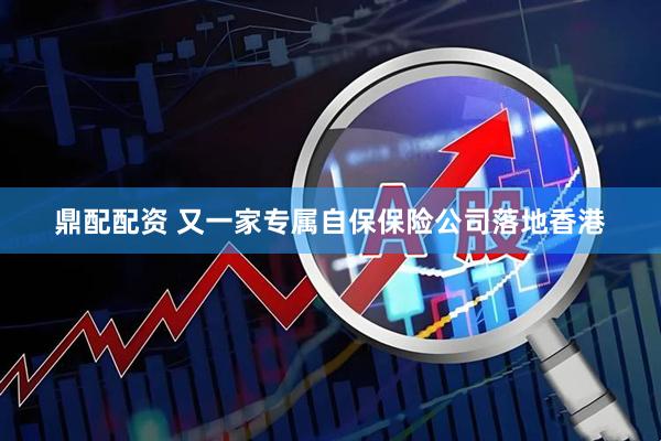 鼎配配资 又一家专属自保保险公司落地香港