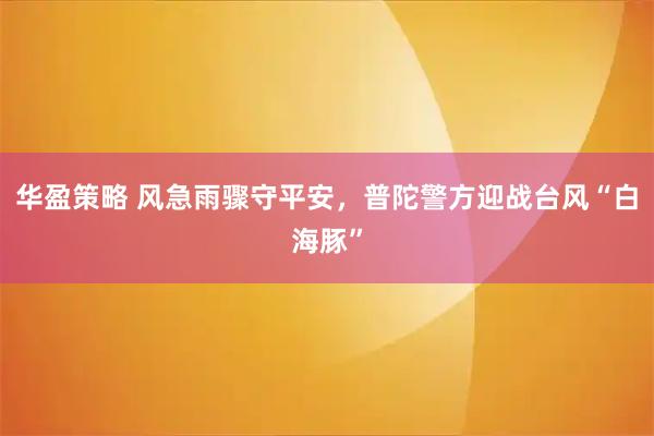 华盈策略 风急雨骤守平安,普陀警方迎战台风“白海豚”
