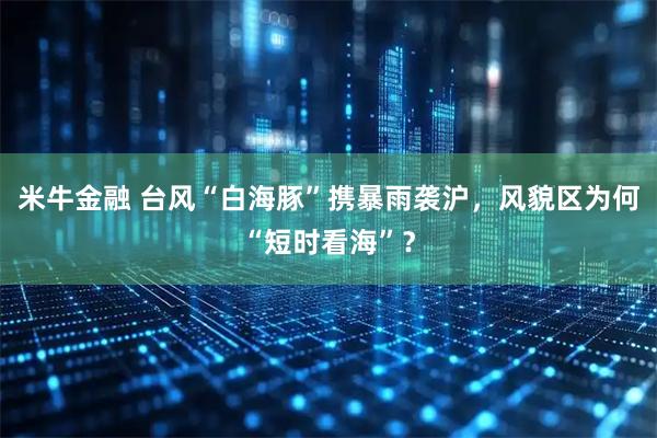 米牛金融 台风“白海豚”携暴雨袭沪,风貌区为何“短时看海”?