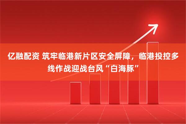 亿融配资 筑牢临港新片区安全屏障,临港投控多线作战迎战台风“白海豚”